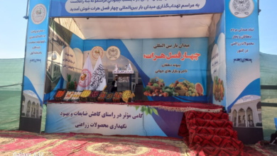 تصویر آغاز ساخت میدان‌بار بین‌المللی چهار فصل هرات با سرمایه‌گذاری بیش از ۵ میلیون دالر