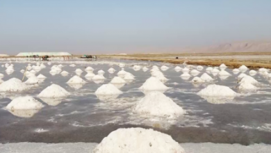 Photo of Construction of Andkhoy Salt Mine Road Begins in Faryab