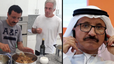 Photo of Pressure rises on Dubai port giant DP World over chief’s alleged Epstein ties