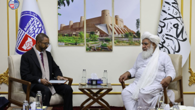 تصویر دیدار رییس اداره ملی آمادگی مبارزه با حوادث با رییس UNDP افغانستان