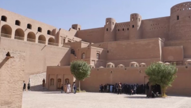 Photo of Herat Sees Surge in Foreign Tourist Visits