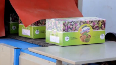 Photo of Afghanistan’s Dry Fruit Exports Rise to $667 Million in 2025