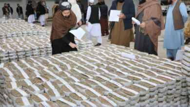 تصویر د افغانستان بانک: بانکنوت‌های مندرس به ارزش بیش از ۵۳۷ میلیون افغانی در هرات سوزانده شد