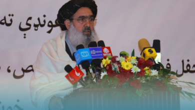 Photo of Afghanistan faces acute shortage of specialist doctors, officials urge ethics and expansion of health services