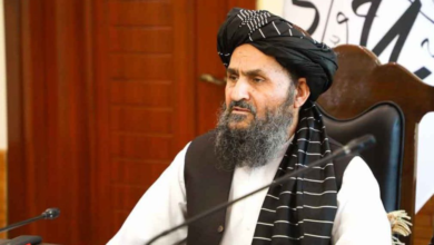 تصویر پالیسی ملی توسعه سکتور زراعتی و مالداری و طرح توسعه سکتور ماهی‌پروری تأیید شد