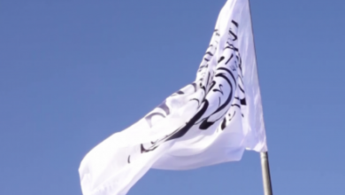 Photo of Islamic Emirate Rejects 2025 Corruption Index, Cites Decline in Corruption