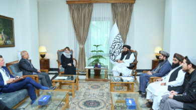 تصویر ملاقات تودیعی معاون نماینده ویژه دبیرکل سازمان ملل در افغانستان با امیرخان متقی