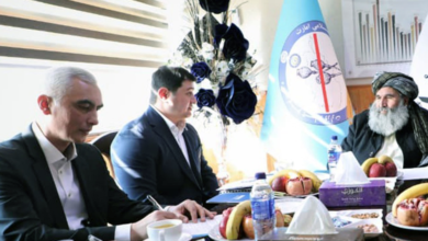 Photo of Afghanistan, central Asia officials strengthen counter-narcotics cooperation