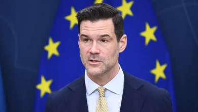 تصویر سویدن ۷۰ میلیون کرون برای افزایش بازگشت مهاجران افغان، سوریه و سومالیایی به IOM اختصاص داد