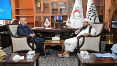 تصویر نشست هماهنگی هلال احمر افغانی با فدراسیون بین‌المللی برای کمک به بازگشت‌کنندگان