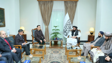 Photo of FM Muttaqi meets Uzbek Central Asia Institute Chief, stresses stronger bilateral cooperation