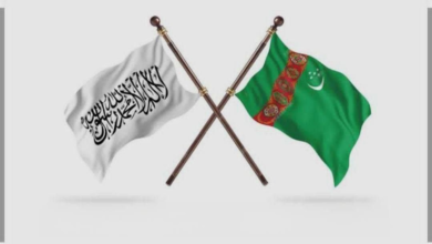 تصویر گفت‌وگوی والی هرات با جنرال قنسول ترکمنستان درباره گسترش تجارت و ترانزیت