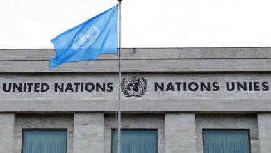 Photo of UN experts call for lasting ceasefire as Afghan–Pakistan violence escalates