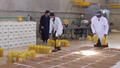 Photo of 200 Tons of Cottonseed Oil Produced Daily in Kandahar