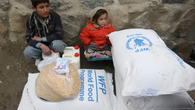 Photo of WFP delivers emergency aid to families displaced by conflict in Afghanistan