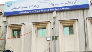 Photo of Afghanistan Issues Work Permits to Over 15,000 Foreign Nationals