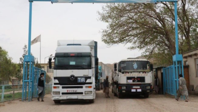 تصویر هشت محموله صادراتی افغانستان امروز به ترکیه، عربستان، آمریکا، استرالیا و هالند ارسال میشود