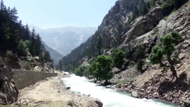 Photo of Security Sources: Pakistani military shelling in Kunar and Nuristan leaves female doctor dead