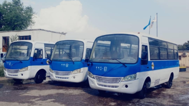 تصویر فعالیت رسمی بس‌های شرکت ملی بس میان پکتیا و کابل آغاز شد