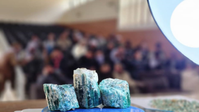 تصویر فروش ۳ هزار و ۶۵۷ قیراط زمرد تازه‌استخراج‌شده پنجشیر به ارزش ۵۸ هزار و ۵۰ دالر