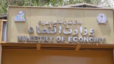 Photo of Ministry of Economy Rejects UNICEF Report as Exaggerated