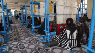 Photo of UNHCR launches largest carpet-weaving centre in western Afghanistan