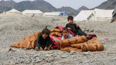 Photo of Afghan, Pakistani clerics urge extension of ceasefire until Eid ul-Adha