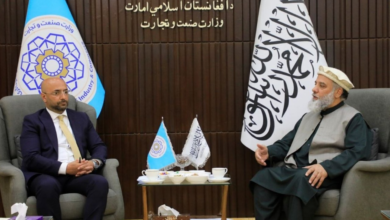 Photo of Turkey invites IEA’s commerce minister to Antalya Diplomacy Forum