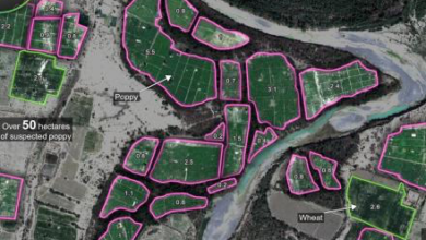 Photo of Research Finds Meth Production Shifting Beyond the Durand Line