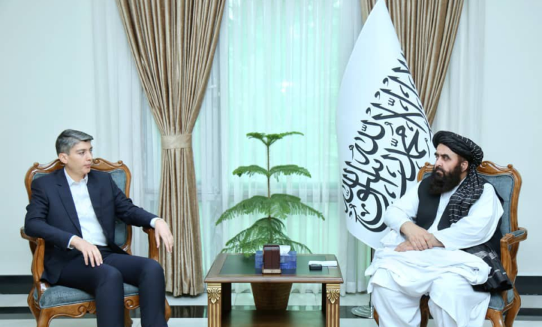 تصویر دیدار رییس دیپلوماسی انسانی بنیاد بشردوستانه IHH ترکیه با وزیر خارجه امارت اسلامی