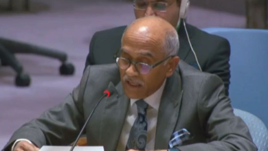 تصویر هند حملات هوایی پاکستان بر خاک افغانستان را محکوم کرد