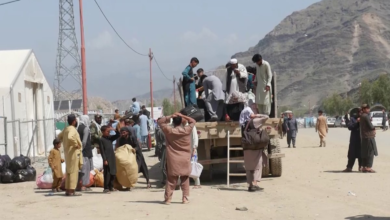 تصویر  ابراز نگرانی سازمان بین‌المللی مهاجرت از اخراج اجباری مهاجران افغان از پاکستان