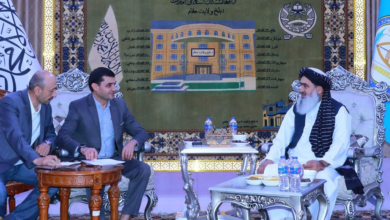 Photo of IEA Public Health Minister discusses health cooperation with Uzbek counterpart