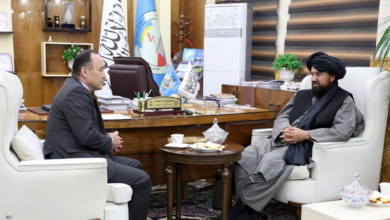 تصویر دیدار معین وزارت آب و انرژی با سفیر قزاقستان