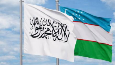 Photo of Uzbekistan Eyes Investment in Afghanistan’s Pharmaceutical Sector