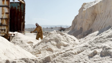 Photo of Salt Producers Call for Government Support to Boost Exports