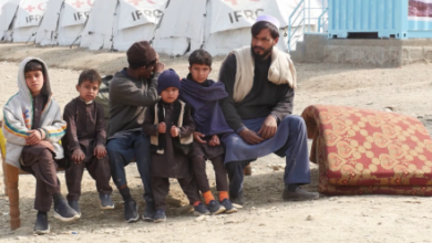 Photo of High transport costs burden Afghan migrants returning from Pakistan