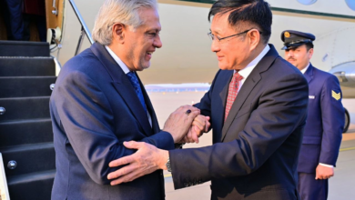 تصویر سفر یک‌روزه معاون نخست‌وزیر و وزیر خارجه پاکستان به چین