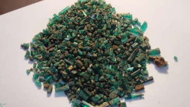 تصویر فروش بیش از ۲ هزار قیراط زمرد در ولایت پنجشیر