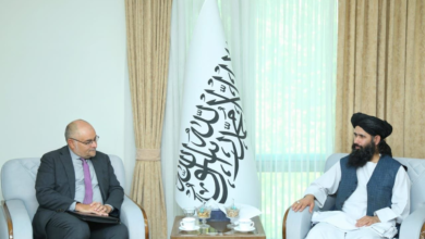 تصویر تأکید بر گسترش روابط و همکاری‌های پایدار میان افغانستان و اتحادیه اروپا