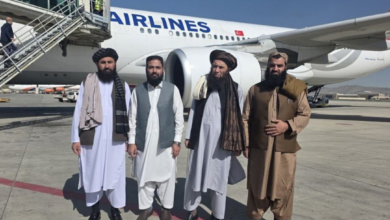 تصویر هیأت وزارت زراعت افغانستان به ریاست مولوی صدراعظم عثمانی به روسیه سفر کرد