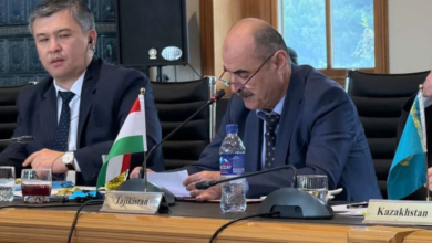 تصویر تامین امنیت مرز مشترک؛ سفیر تاجیکستان از نیروهای افغان سپاسگزاری کرد