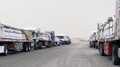 Photo of Afghanistan sends 530 tons of humanitarian aid to Gaza via Egypt