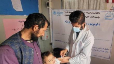 Photo of WHO Reports 25% Rise in Malaria Cases in Afghanistan