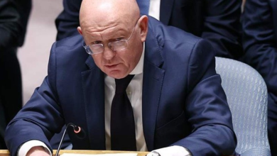 تصویر روسیه در شورای امنیت از موضع ایران درباره تنگه هرمز حمایت کرد