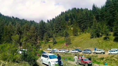 تصویر بیش از ۶.۲ میلیون گردشگر داخلی و ۱۰ هزار گردشگر خارجی در سال ۱۴۰۴ از افغانستان بازدید کردند