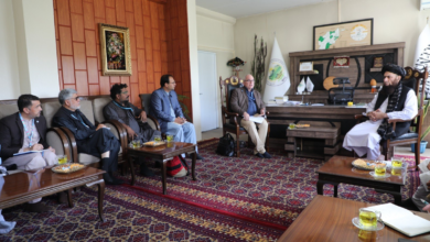 تصویر تأکید بر گسترش همکاری‌های زراعتی میان افغانستان و سازمان خوراک و زراعت ملل متحد