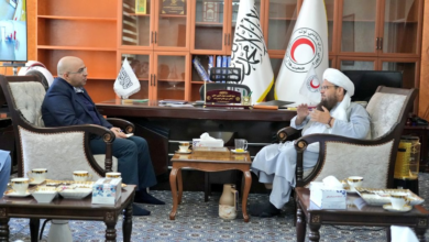 تصویر دیدار رییس هلال‌احمر افغانستان با رییس فدراسیون بین‌المللی جمعیت‌های ملی