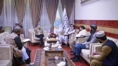 Photo of Public Health Minister, WHO envoy discuss healthcare services in Afghanistan