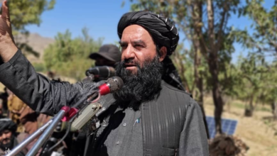 تصویر وزیر سرحدات: مردم افغانستان خواهان تغییر نظام نیستند و بازگشت فراریان را نمی‌خواهند